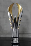 Award trophy